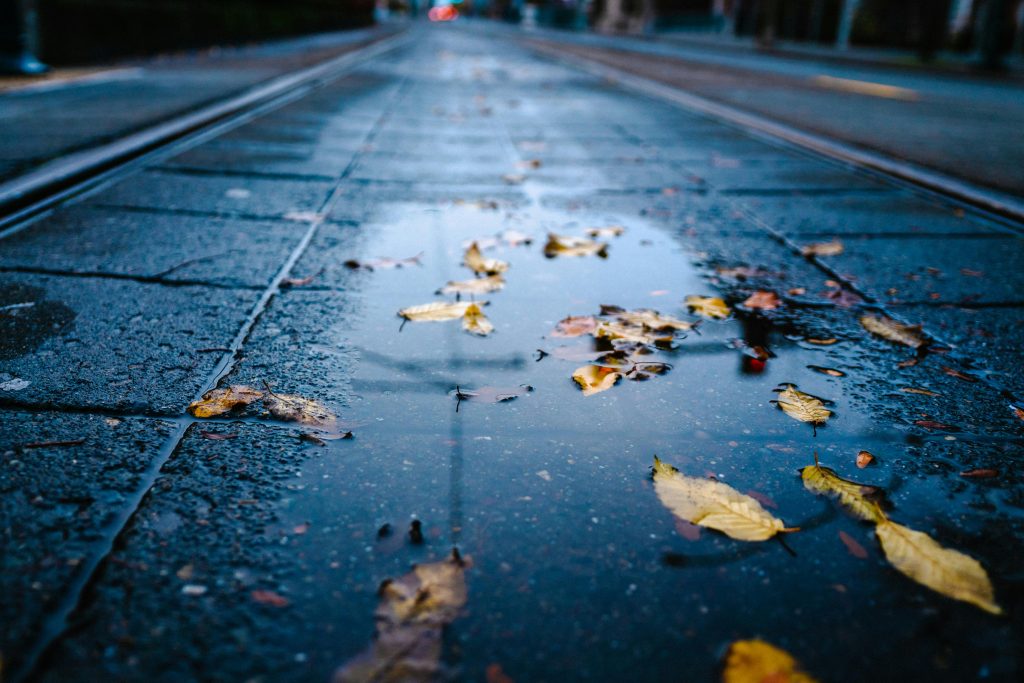 Close-up of wet autumn leaves on tram tracks in rainy Tacoma, WA, capturing the essence of fall.